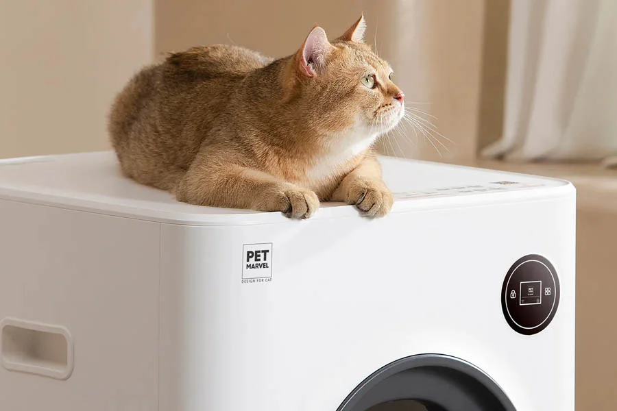 best automatic cat litter