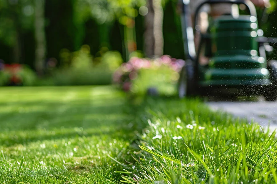 battery cordless lawn mower